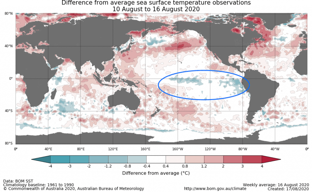 SST August 2020