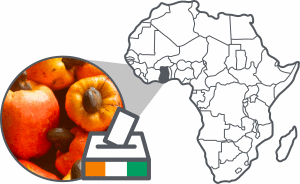 Cover picture post elections Ivory Coast