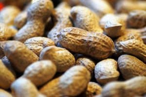 Inshell Peanuts, market report September 2020