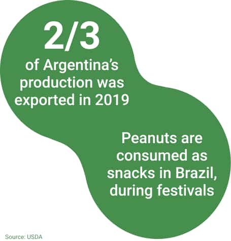 Consumption Argentina & Brazil