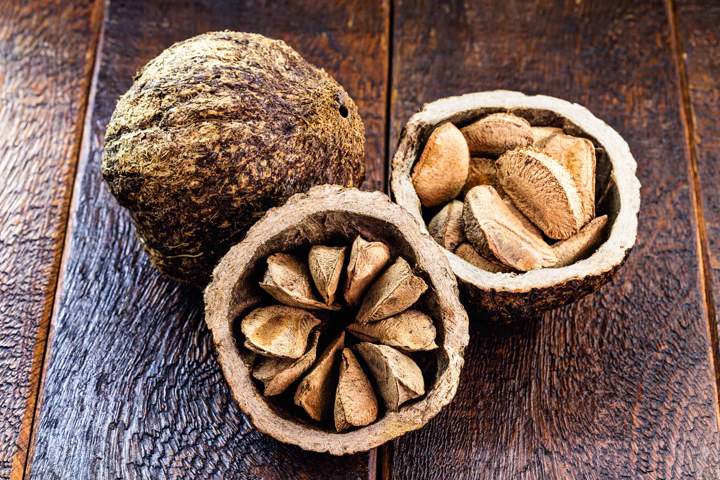 Amazon Rainforest Brazil Nut Tree