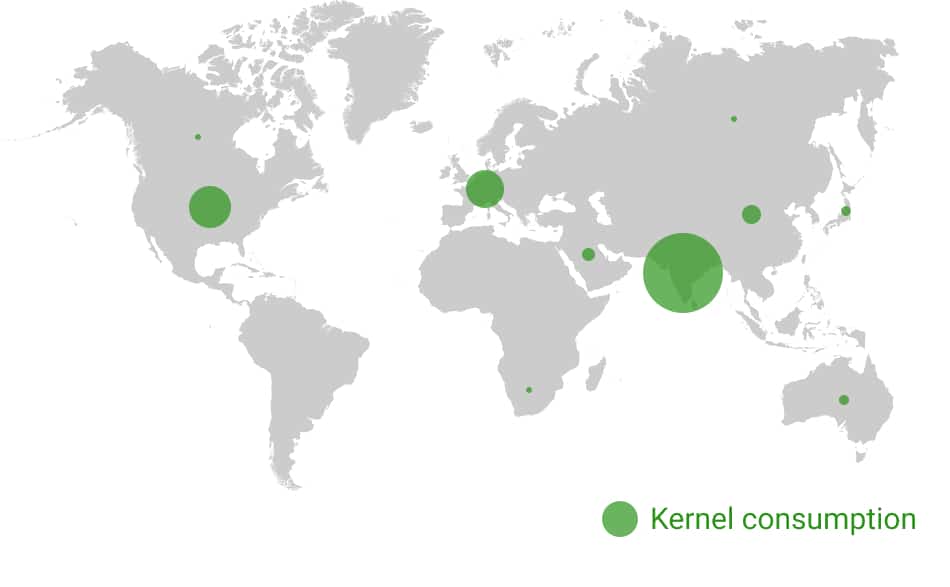 Kernel exports & consumption