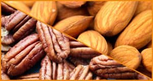 Almonds & pecans for market update