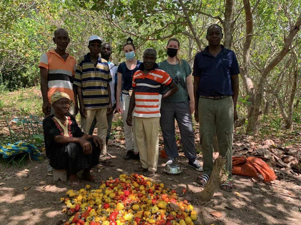 isit to IVC cashew farmers