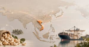 Vietnam cashew trade illustration showing export routes, cashew kernels and a container port.